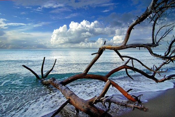 Agfriturismo Alberese i colori del mare