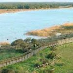 Agriturismo Alberese Il Fiume Ombronbe