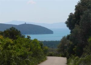 agriturismo-alberese-parco-maremma