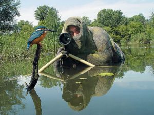 Agriturismo Alberese | Birdwatching