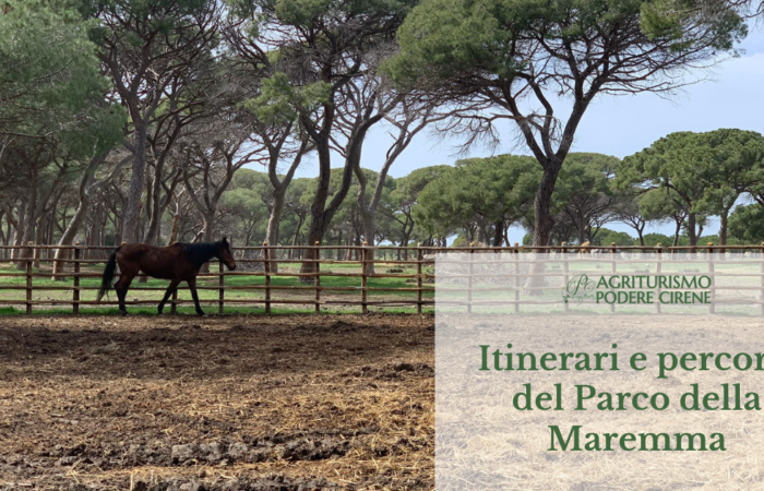 Agriturismo nel Parco della Maremma