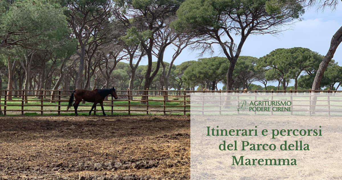 Agriturismo nel Parco della Maremma
