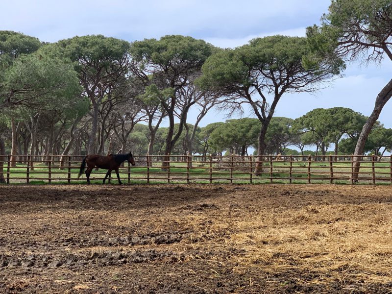 Agriturismo nel Parco della Maremma