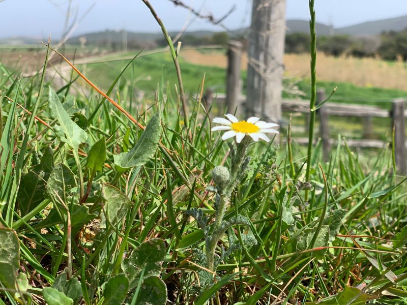 Agriturismo nel Parco della Maremma