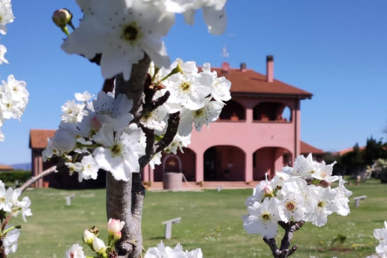 Podere Cirene, agriturismo per la pasqua in Maremma