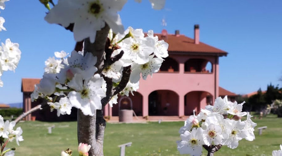 Podere Cirene, agriturismo per la pasqua in Maremma