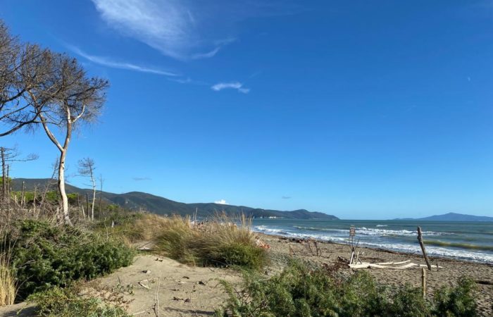 Spiaggia di Marina di Alberese, Agriturismo Cirene