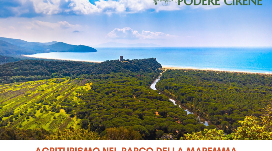 Parco dell'Uccellina Agriturismo Podere Cirene