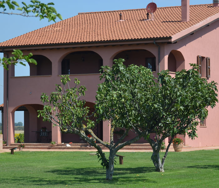 Podere Cirene, Agriturismo Maremma con piscina, ristorante e sauna