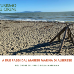 Agriturismo maremma con piscina podere cirene