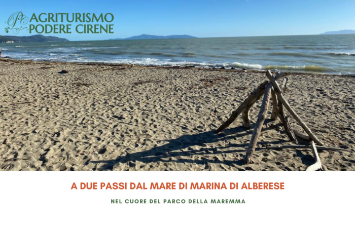 Agriturismo maremma con piscina podere cirene