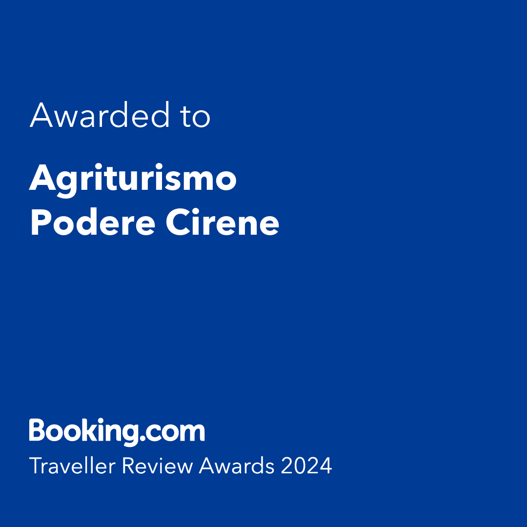 Booking.Digital-Award-TRA-2024, copia